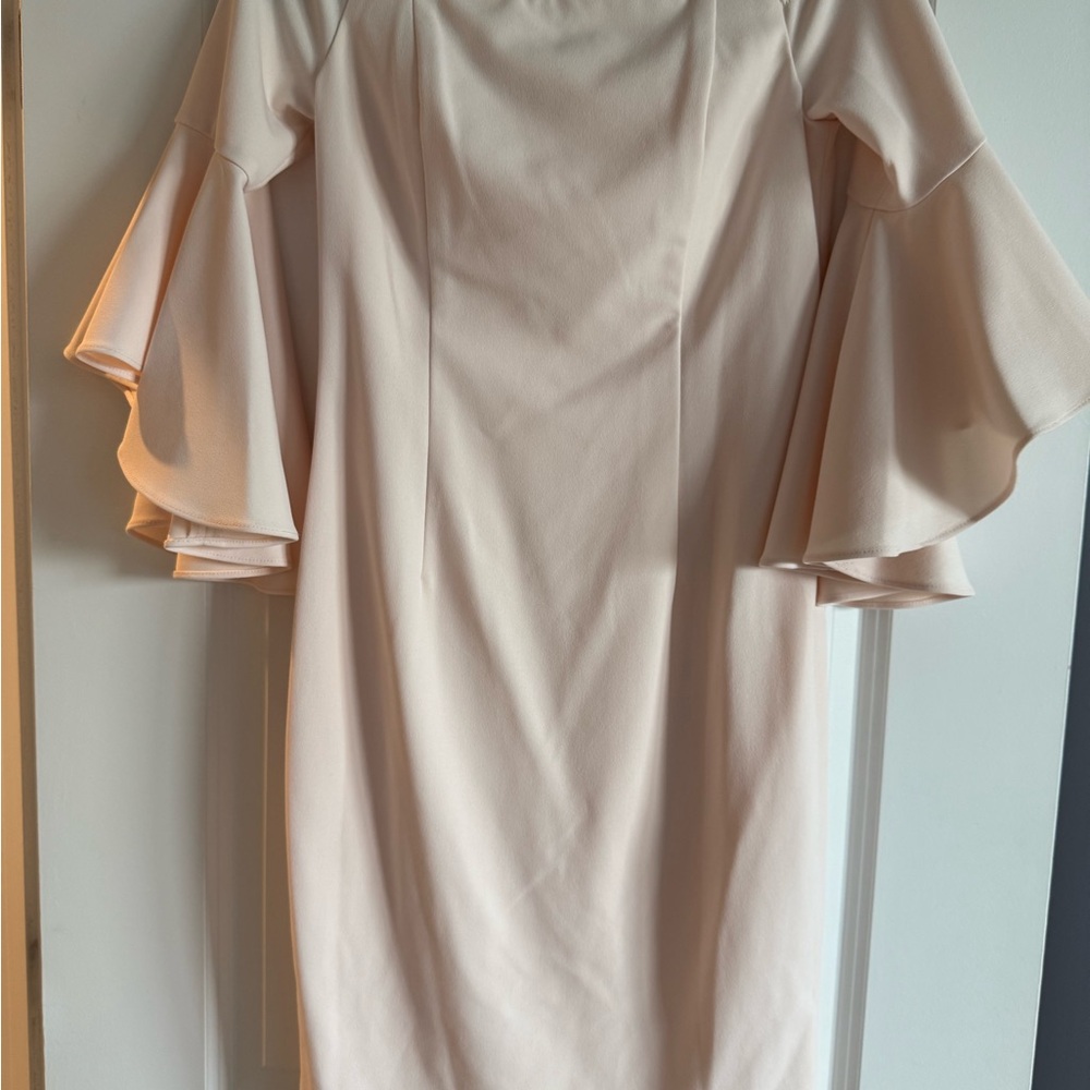 Calvin Klein Blush Pink Sleeve Dress